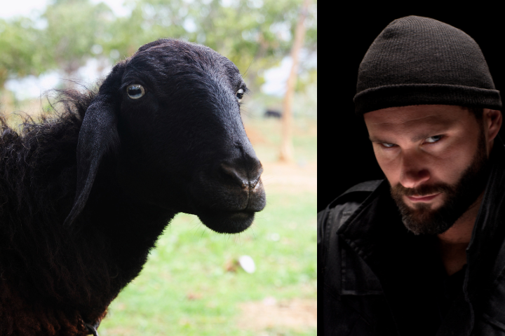 Stand Out Proudly: The Ultimate Collection of 80+ Black Sheep Quotes